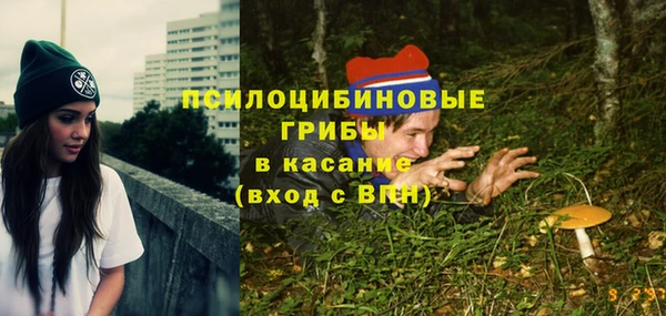 твердый Нефтекумск