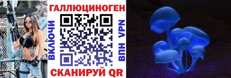 omg ONION  Чернушка  Галлюциногенные грибы Psilocybine cubensis 